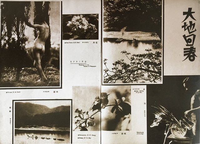 1934年3月《大众》第1卷第5期刊登了郎静山等几位摄影师的作品,中间靠下一幅名为“枝头”的作品主角即是一只小鸟 1934年3月《大众》第1卷第5期刊登了郎静山等几位摄影师的作品,中间靠下一幅名为“枝头”的作品主角即是一只小鸟