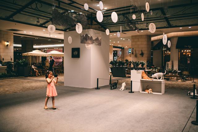 购物中心也能成为艺术馆，“心生”毕业季公共艺术展来袭