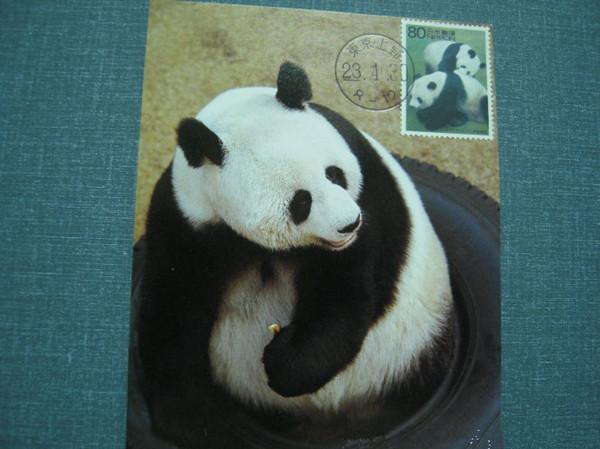 大熊猫是如何成为大熊猫的