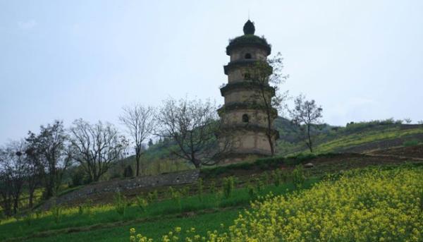 还原被电影《杨贵妃》颠覆的真实历史