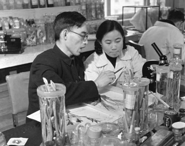 屠呦呦与“523任务”：文革中的抗疟疾研究