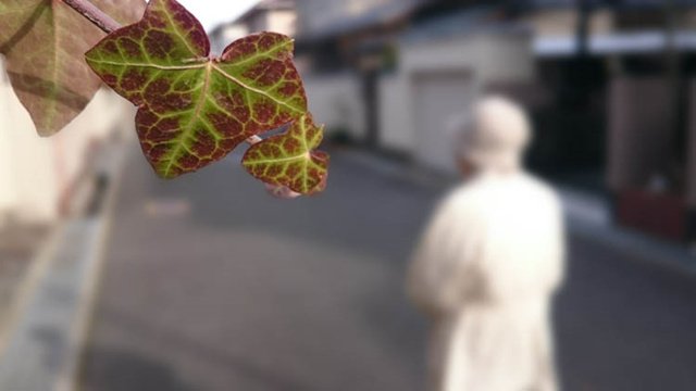 当老母罹患失智症，你愿意为她换洗内衣裤吗？