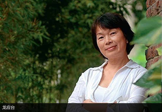 台湾文化部长龙应台:文化很难靠政策打造出来