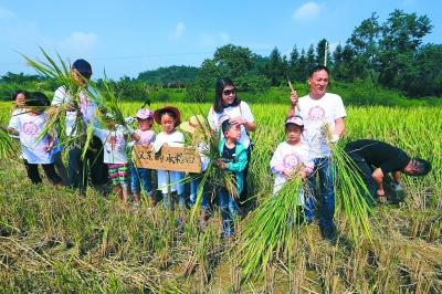 种田日记:和父亲一起留住即将消逝的农耕