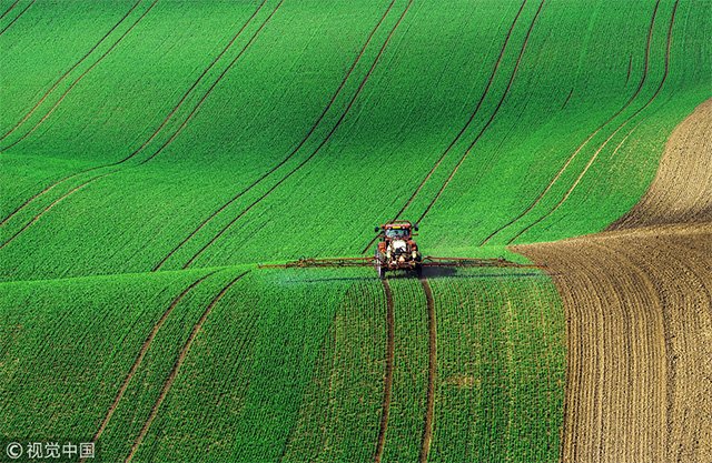 朋友圈照片比你多的人，并没有比你更好的生活