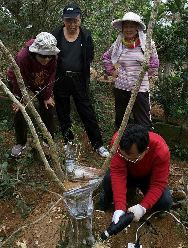 赵一凡:王建顺的家国油画