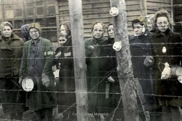 解密希特勒妇女集中营