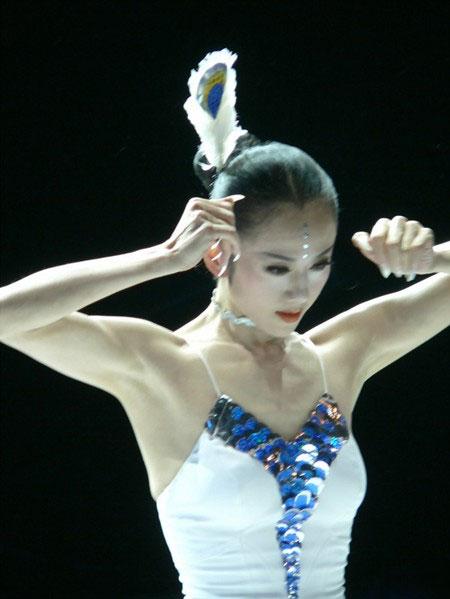 从《雀之灵》到《孔雀之冬》 杨丽萍:停不下来的舞步_文化_腾讯网