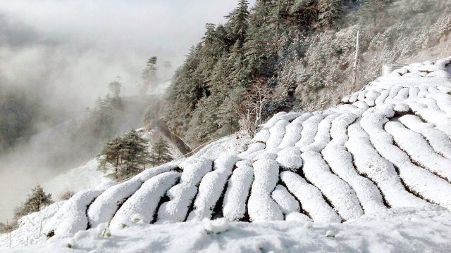 冰與寒,漫長的歷程