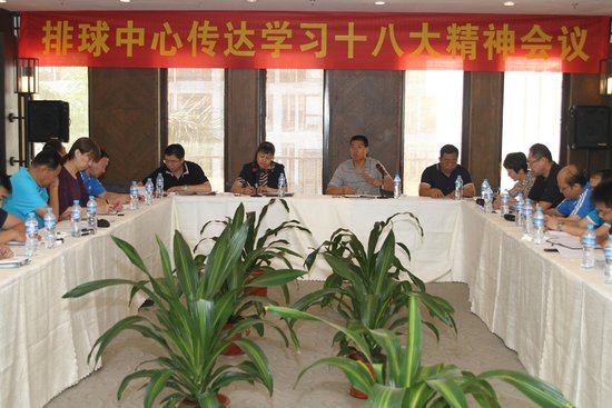 中心召开传达学习党的十八大精神党员干部大会