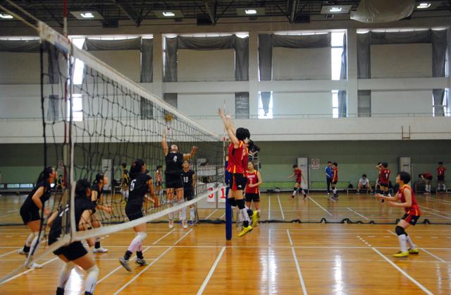 2014年全国<em>青年女排</em>集训步入尾声_排协官方网