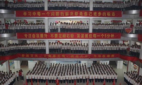 「孩子，你可以不成功」是一碗毒雞湯