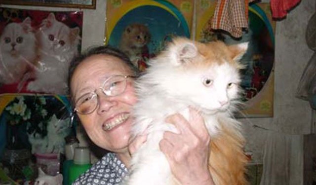 网络图片:抱着猫的丁世英老人 网络图片:抱着猫的丁世英老人