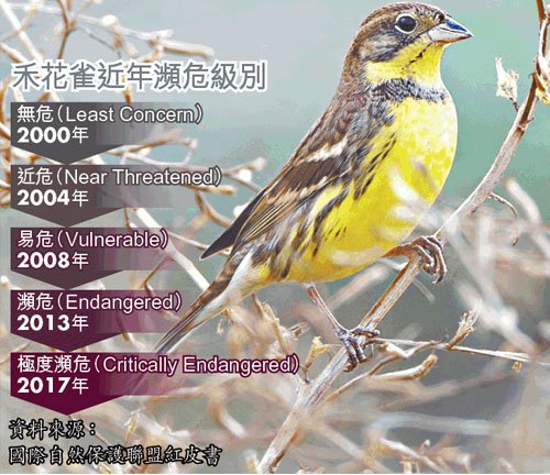 又把物種吃絕種，中華美食比你想象的要野蠻得多