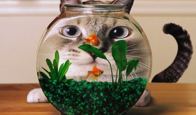 北大畢業后,當一個純正的無業游民