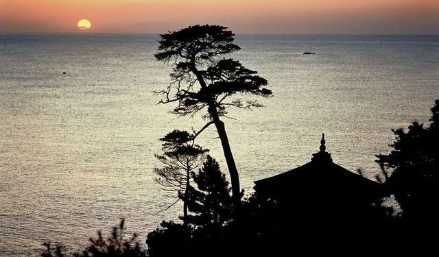 牛继马后，衣冠南渡