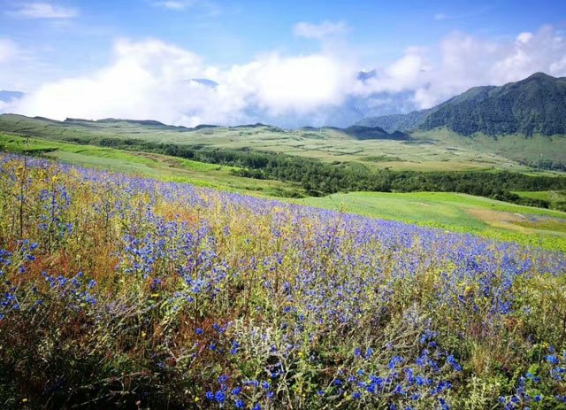 最浓郁的乡愁：回阿普家过彝族年