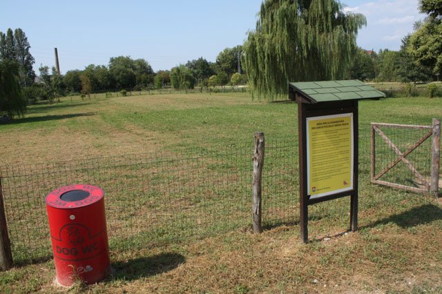 如果没来欧洲，我不会养狗