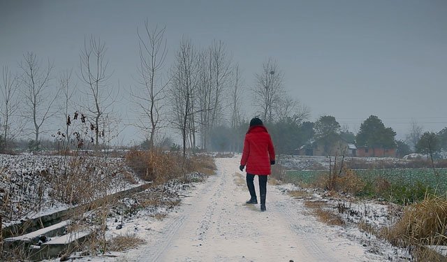 摇摇晃晃的人间和巴巴地活着的余秀华