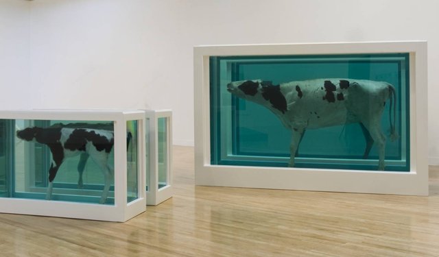 有人說他的作品噁心，但藝術能用胃來欣賞嗎