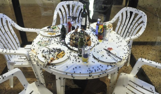 有人說他的作品噁心，但藝術能用胃來欣賞嗎