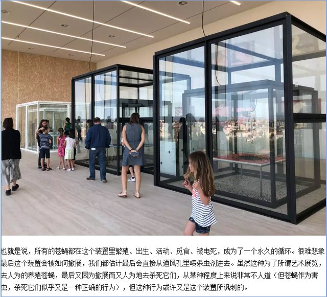 有人說他的作品噁心，但藝術能用胃來欣賞嗎