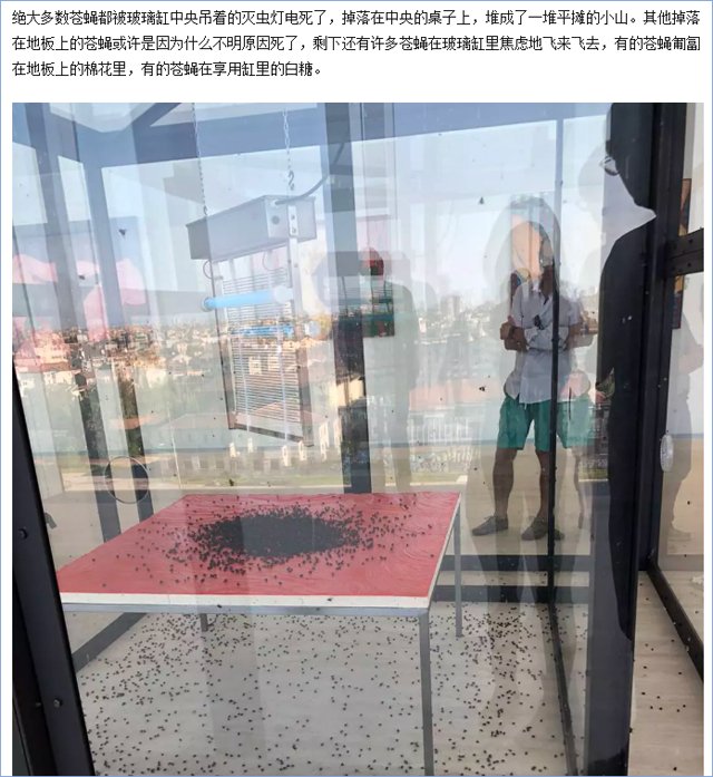 有人說他的作品噁心，但藝術能用胃來欣賞嗎