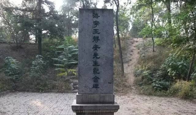 关于大师的自杀,所有解读都可能是错的