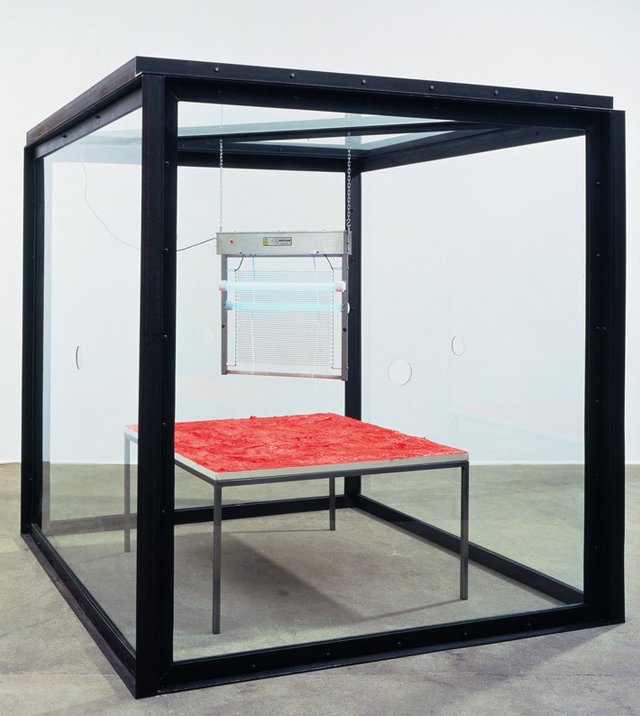 有人說他的作品噁心，但藝術能用胃來欣賞嗎