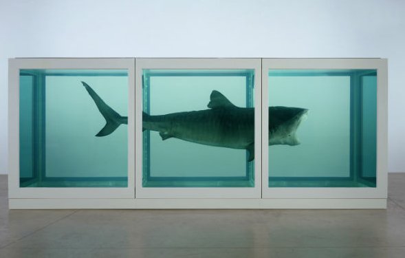 有人說他的作品噁心，但藝術能用胃來欣賞嗎