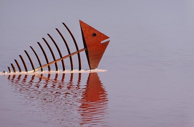 那个吃不到活鱼的年代