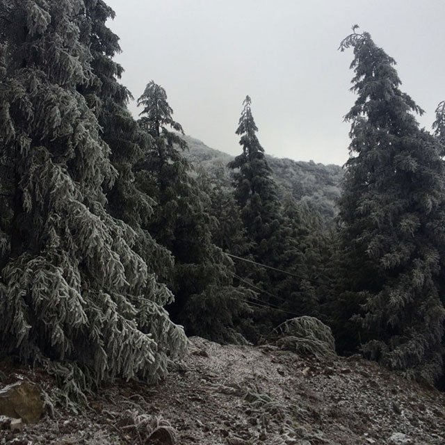 兩天過完一個年