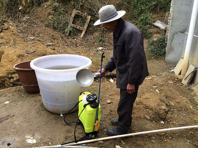 兩天過完一個年