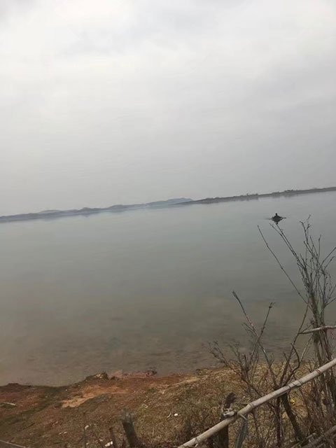 大年三十年夜飯