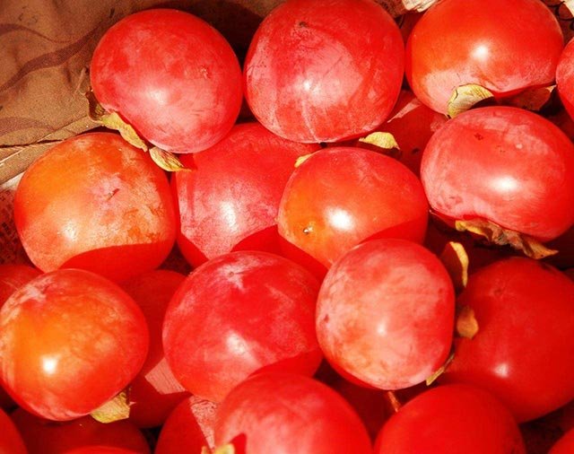 每逢佳节倍思吃