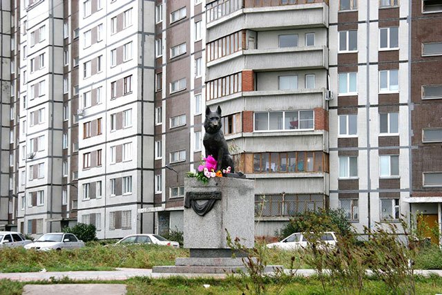 在俄羅斯，有座狗碑叫「忠誠」