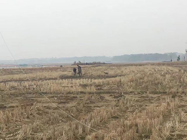 大年三十年夜飯