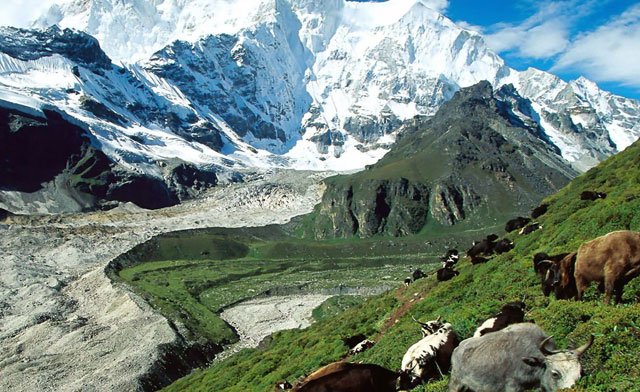 我的一辈子走在窄路上，这没什么不好