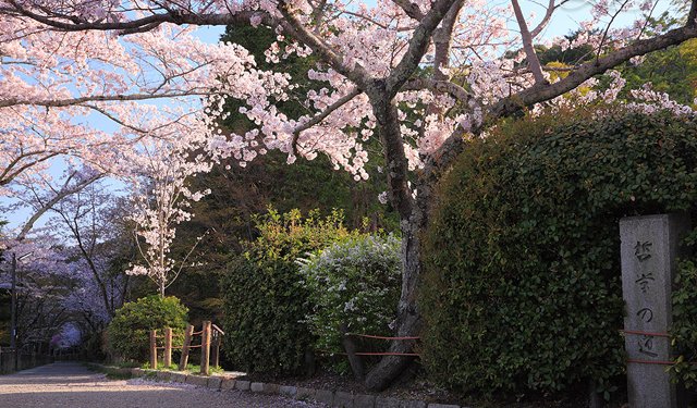 戴上假面的日本作家們
