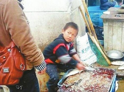 2010年底,一个小男孩在自家鱼摊上熟练地将一条条鱼开肠破肚,他因纯熟的杀鱼技巧和倔强犀利的眼神被网友戏称为“杀鱼弟”。 2010年底,一个小男孩在自家鱼摊上熟练地将一条条鱼开肠破肚,他因纯熟的杀鱼技巧和倔强犀利的眼神被网友戏称为“杀鱼弟”。