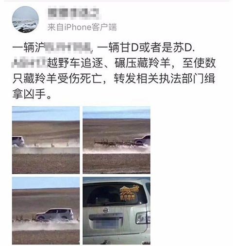 用暴力来惩罚暴力的时候，没有谁是藏羚羊