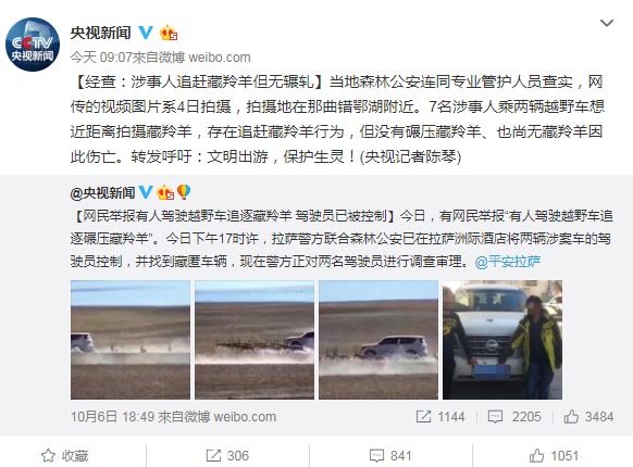 用暴力来惩罚暴力的时候，没有谁是藏羚羊