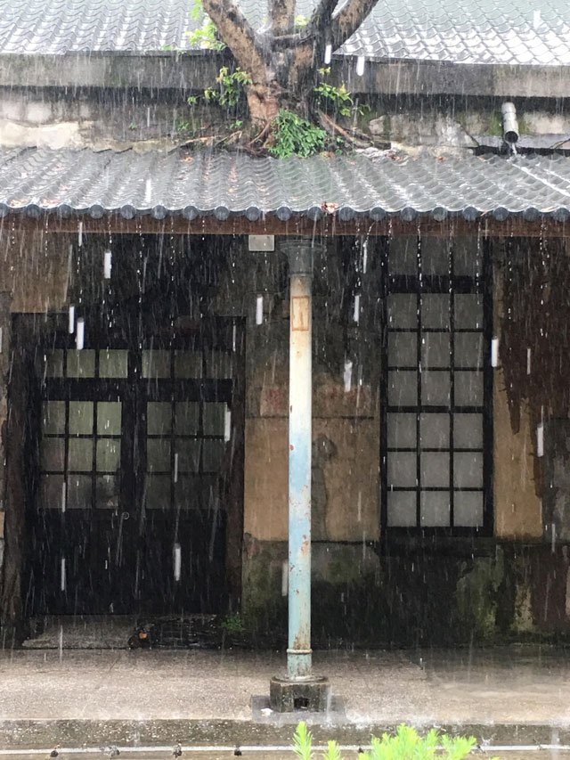 昨天抵達蘇黎世