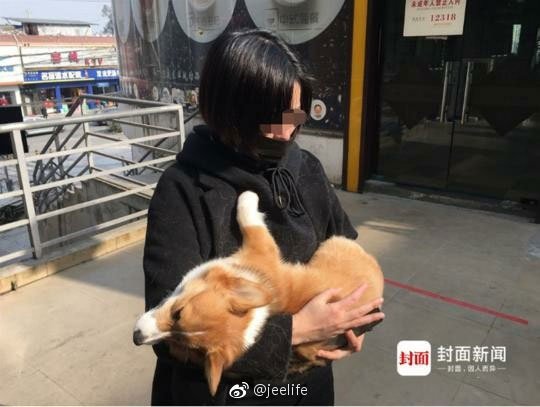 小吳抱著狗狗的屍體 人與人之間的鴻溝,比人與狗的更大