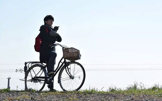 日影《假如猫从世界上消失了》剧照 日影《假如猫从世界上消失了》剧照