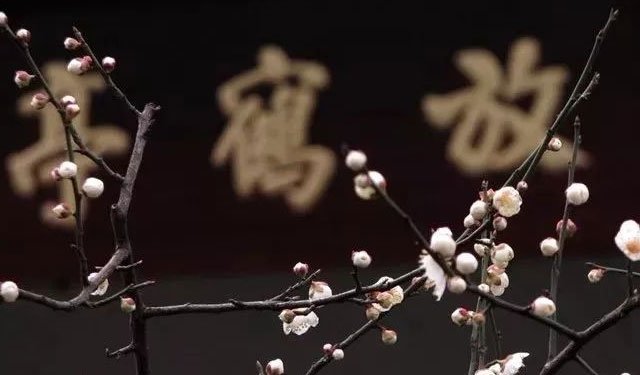 真與煙霞相接納