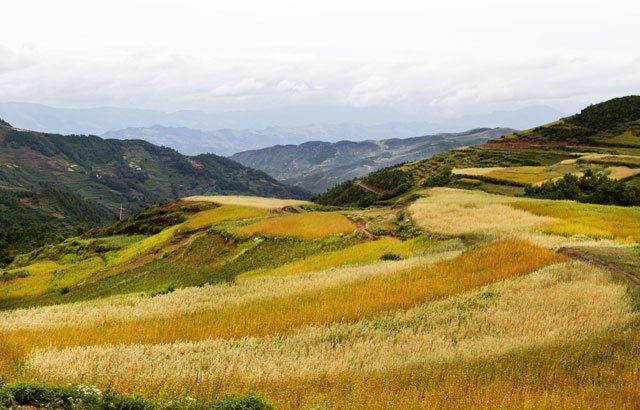 最浓郁的乡愁：回阿普家过彝族年