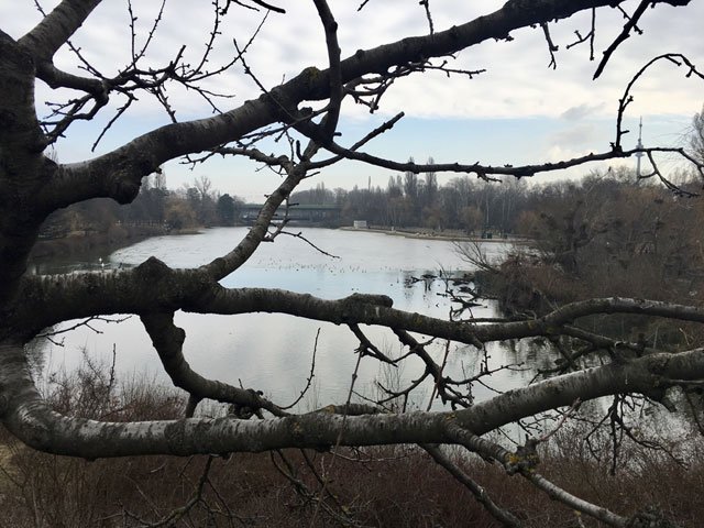 昨天抵達蘇黎世