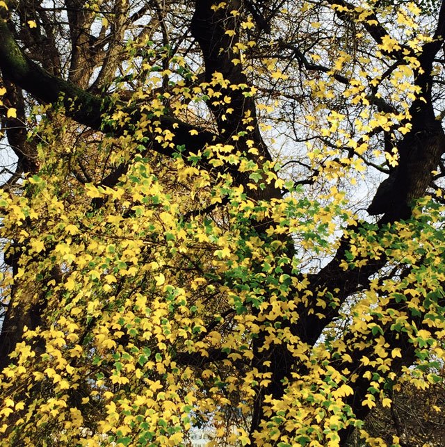 昨天抵達蘇黎世