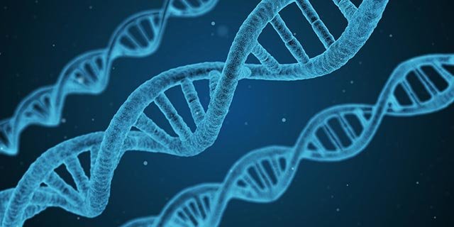 犹太人为什么盛产诺贝尔奖得主